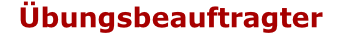 Übungsbeauftragter